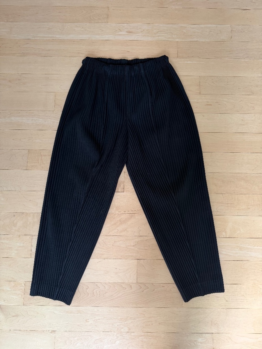 Black Issey Miyake Homme Plisse Pants